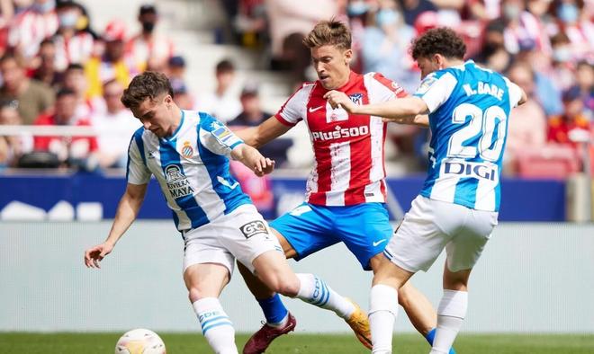 她在短节目 她在短节目