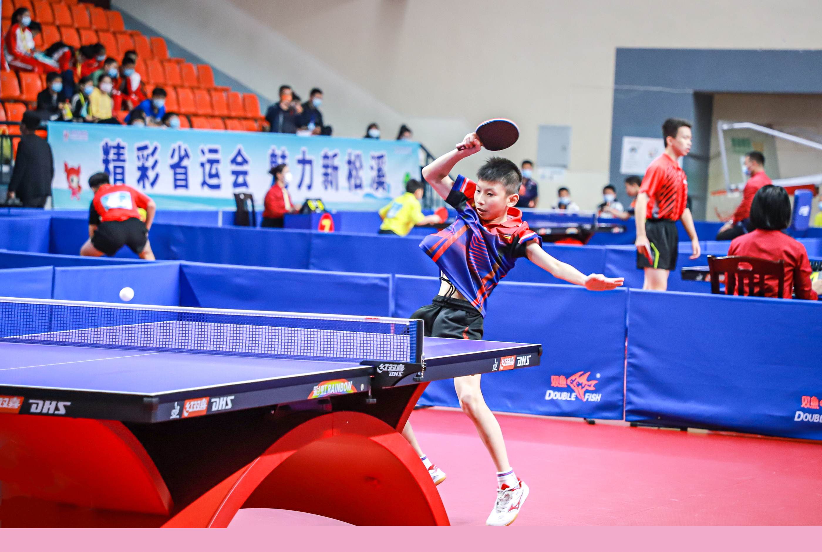 的情感纽带 的情感纽带